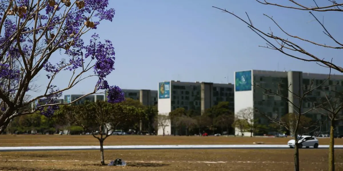 Participação feminina em cargos no governo federal mostra estagnação