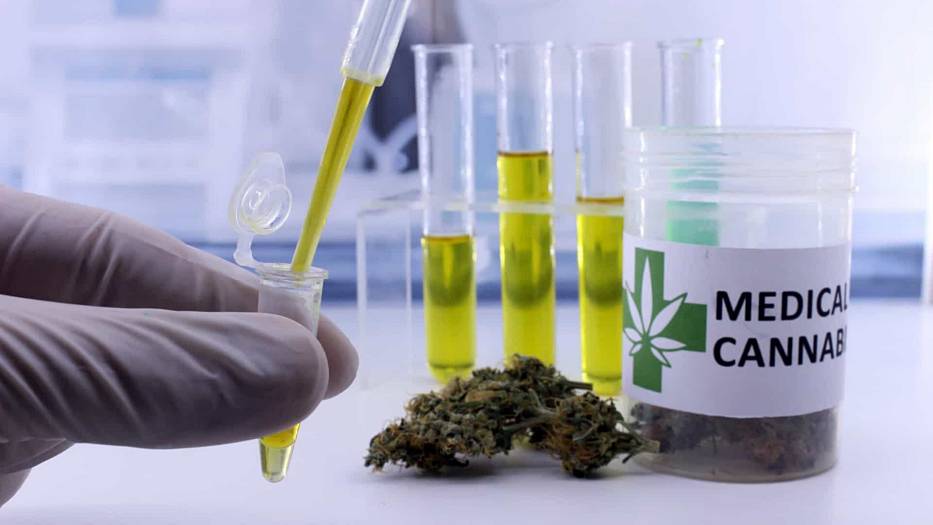 cannabis-medicinal-foto-shutterstock