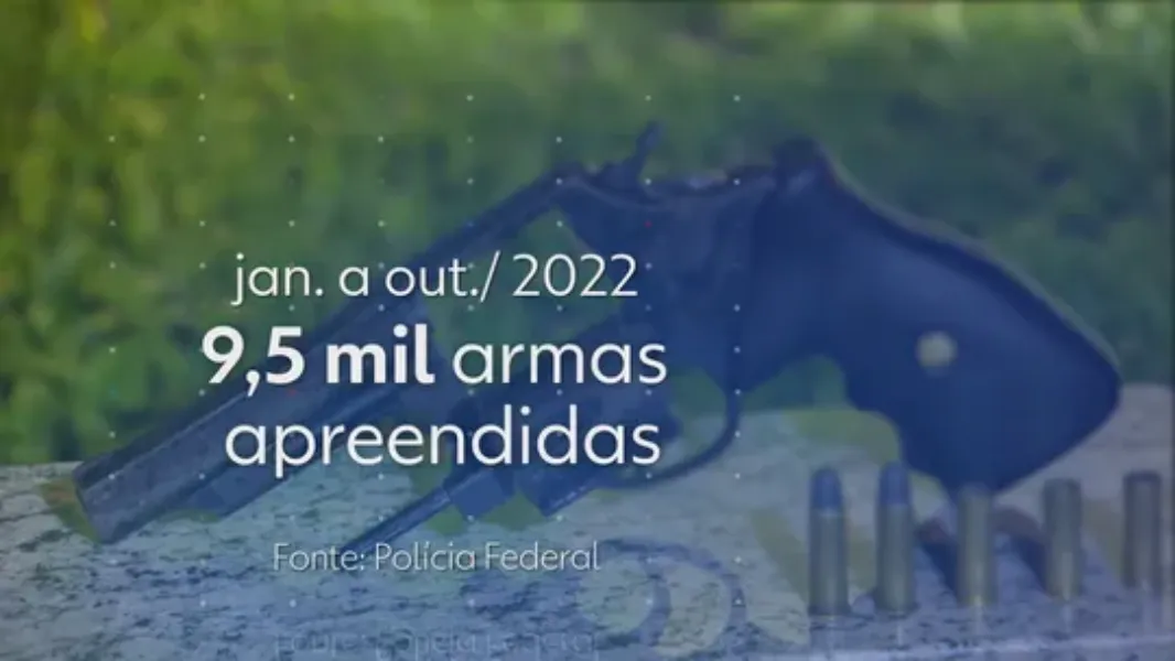 armas-apreendidas-2022-reproducao