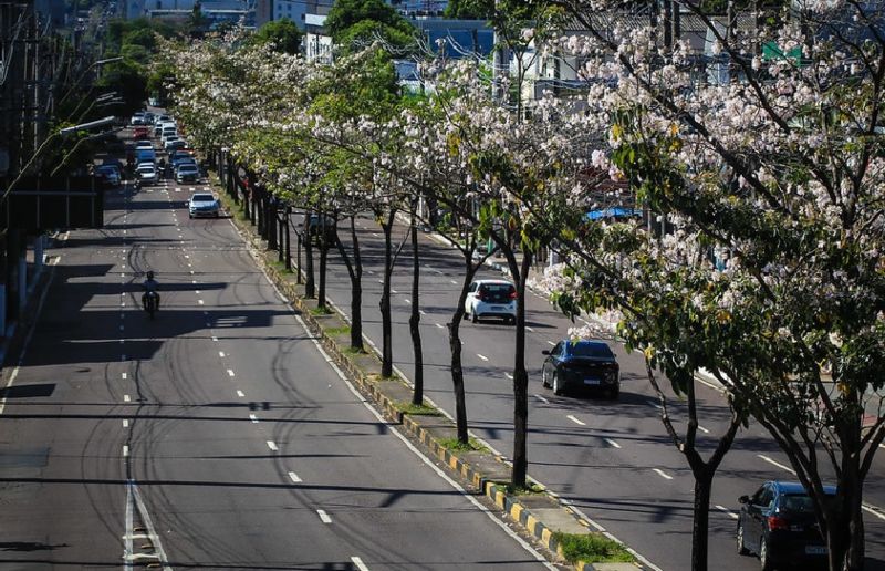 28-11-23 Manaus terá projeto ambiental da ONU