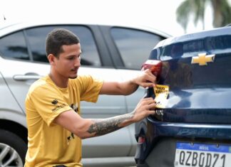 Joana Darc destaca importância do ‘Maio Amarelo’ pelo combate ao atropelamento de animais
