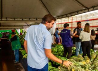 Thiago Abrahim propõe políticas de apoio à reconversão da citricultura no Amazonas