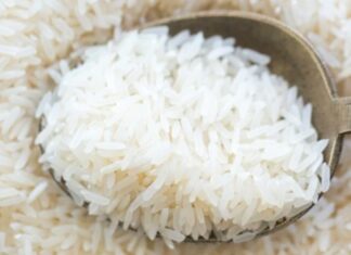 Oposição ao governo Lula articula abertura de CPI do Arroz