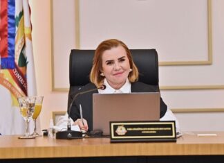 Em artigo, Yara Lins exalta Tribunais de Contas como Guardiões da Cidadania no Brasil