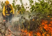 Altas temperaturas e secas severas afetam regiões preservadas da floresta amazônica