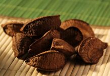 Governo garante novos preços mínimos para produtos da floresta