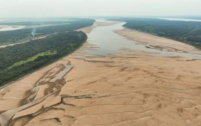 seca estiagem rio amazonas floresta amazonica aquecimento global seca extrema