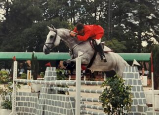 Juiz internacional de hipismo projeta evolução do esporte no Amazonas