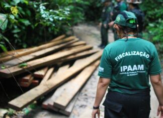 Ipaam intensifica fiscalizações contra queimadas e desmatamento na Região Metropolitana de Manaus