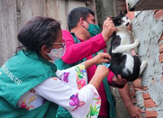 CCZ leva vacinação antirrábica para o ‘Manaus Cidadã’