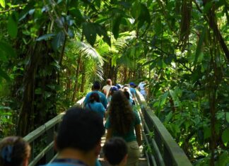 Ipaam recebe estudantes no Bosque Vandete Rocha e abre agenda de visitação para escolas e universidades