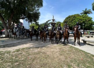 Cavalaria da PMAM completa seis meses de atuação no Centro de Manaus