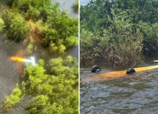 FAB intercepta avião suspeito do Peru e piloto é detido no Amazonas