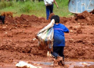 Trabalho infantil é maior entre beneficiários do Bolsa Família, mas faixa tem maior redução histórica