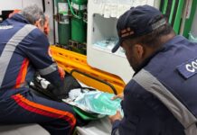 Prefeitura registra 10 atendimentos no encerramento do ‘Boi Manaus 2025’