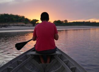 Guia Caminhos da Amazônia para a COP30 explica a conferência do clima a partir do olhar amazônico