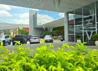 TCE-AM capacita gestores municipais na elaboração de planos de prevenção ao desmatamento e queimadas