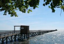 Funerária é investigada por descarte irregular de sangue