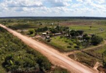BR-319: ramais e estradas clandestinas avançam sobre áreas protegidas e facilitam desmatamento e mineração