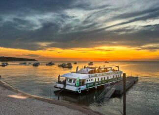 UEA na COP30: Universidade apresenta soluções amazônicas em justiça climática, bioeconomia e inovação sustentável