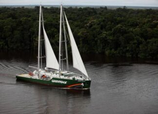 COP30: Navio símbolo do Greenpeace vem a Belém para exigir a transição justa e o fim do desmatamento global