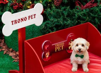 Pets terão desfile, adoção responsável e arrecadação de ração no Natal do Manauara Shopping