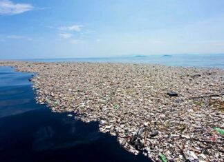 Grande Porção de Lixo do Pacífico cria novo ecossistema marinho