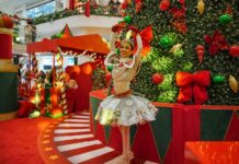 Última apresentação do espetáculo “O Fabuloso Circo de Natal” acontece neste sábado (20), no Amazonas Shopping
