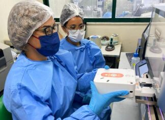 Surto de Oropouche na Amazônica Ocidental foi causado pelo inseto maruim