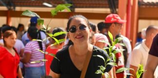 Governo Presente: Ipaam distribui 200 mudas de plantas frutíferas, medicinais e ornamentais