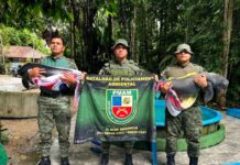 Em Codajás, Polícia Militar do Amazonas resgata dois filhotes de peixe-boi encontrados com sinais de maus-tratos
