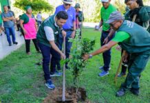 Prefeitura de Manaus atinge marca histórica com plantio de mais de 30 mil mudas no ano