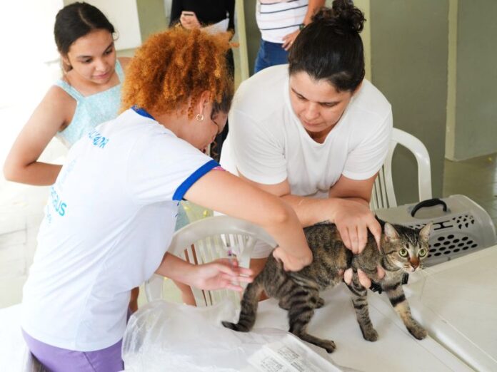 SEMSA MANAUS Atualização Pontos Antirrábica (2)(1)