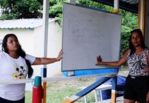 TCE-AM acolhe denúncia de Amom Mandel e abre investigação sobre colapso no transporte e obras escolares no Careiro