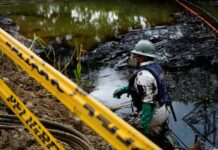 A cada US$ 1 investido na proteção da natureza, mundo gasta US$ 30 na sua destruição