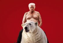The Economist exibe Trump montado em urso e cita Groenlândia