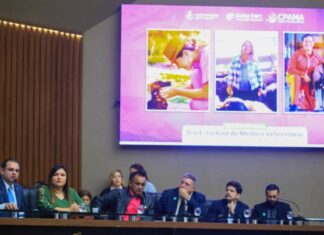 Comissão de Meio Ambiente da Aleam apresenta números de atividades de 2025