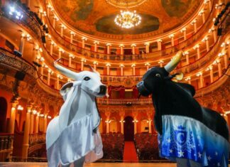 Cultura Viva: Inscrições para a 1ª Teia Amazonas começam nesta quinta-feira