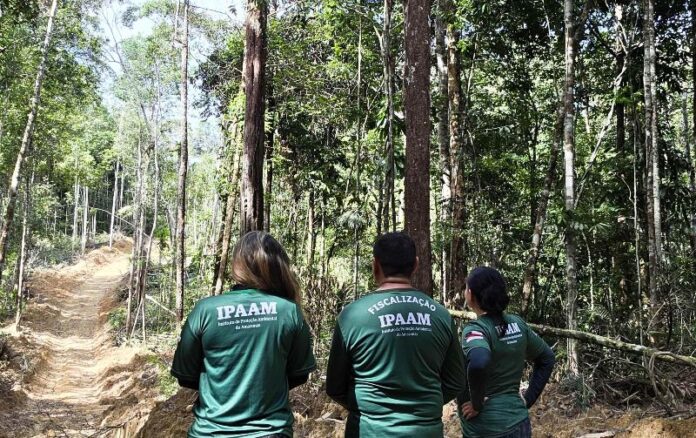 Ipaam_Período do Defeso Florestal inicia nesta quinta-feira no Amazonas_Crédito da foto 2 - Arquivo-Ipaam - 14-01-2026(1)