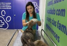 Em 100 dias de funcionamento, Hospital Público Veterinário do Amazonas já atendeu mais de 15 mil animais