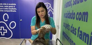 Em 100 dias de funcionamento, Hospital Público Veterinário do Amazonas já atendeu mais de 15 mil animais