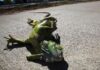 Frio intenso faz iguanas congelarem e caírem de árvores
