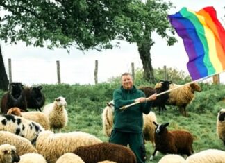 Não querem fêmeas e tá tudo bem: como é o ‘1º rebanho de carneiros gays’