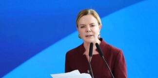 ‘Precisamos que Haddad seja candidato’, diz Gleisi sobre eleições em São Paulo