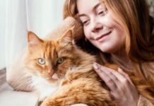 Mitos e verdades sobre a convivência entre gatos e humanos