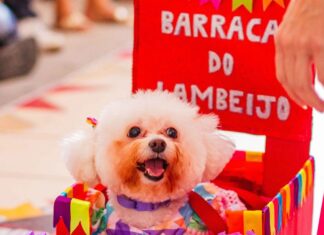 Carna Pet do Super Nova Era reúne desfile, adoção e vacinação gratuita neste sábado (21)