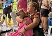 Governo do Amazonas promove ação de castração solidária de animais no bairro Betânia, zona sul da capital