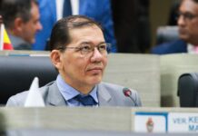 CMM delibera projeto que proíbe animais domésticos acorrentados em áreas de risco