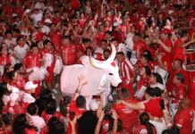 Batucada faz homenagem a Tadeu Garcia e emociona artistas e torcida em Manaus