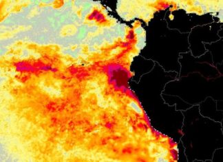 O que é o fenômeno El Niño Costeiro e quais seus impactos?